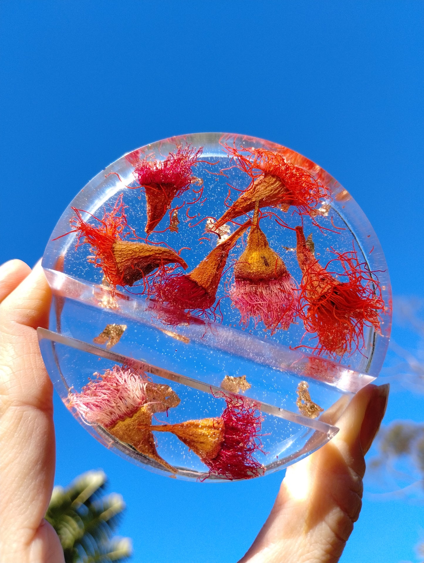 Botanical Phone Holder