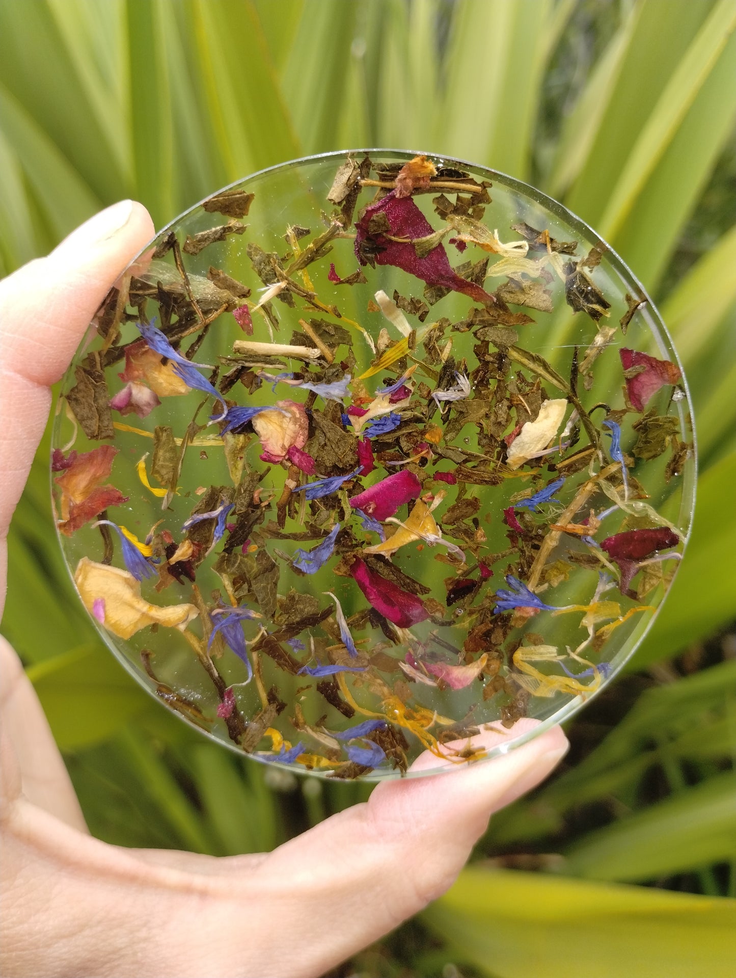 Coaster Set