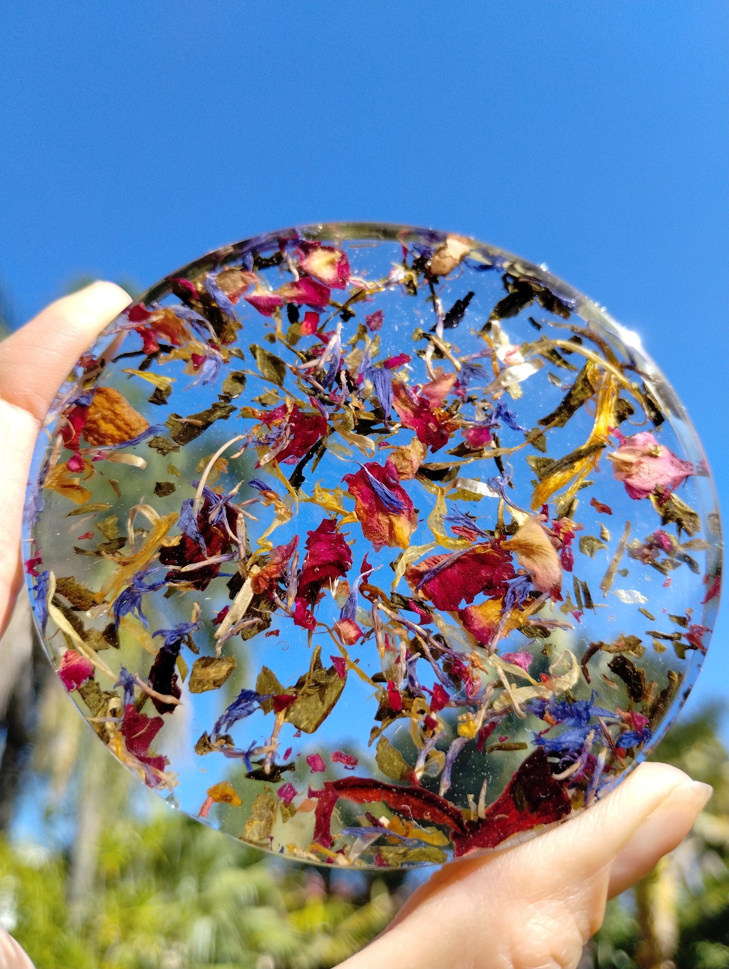 Coaster Set