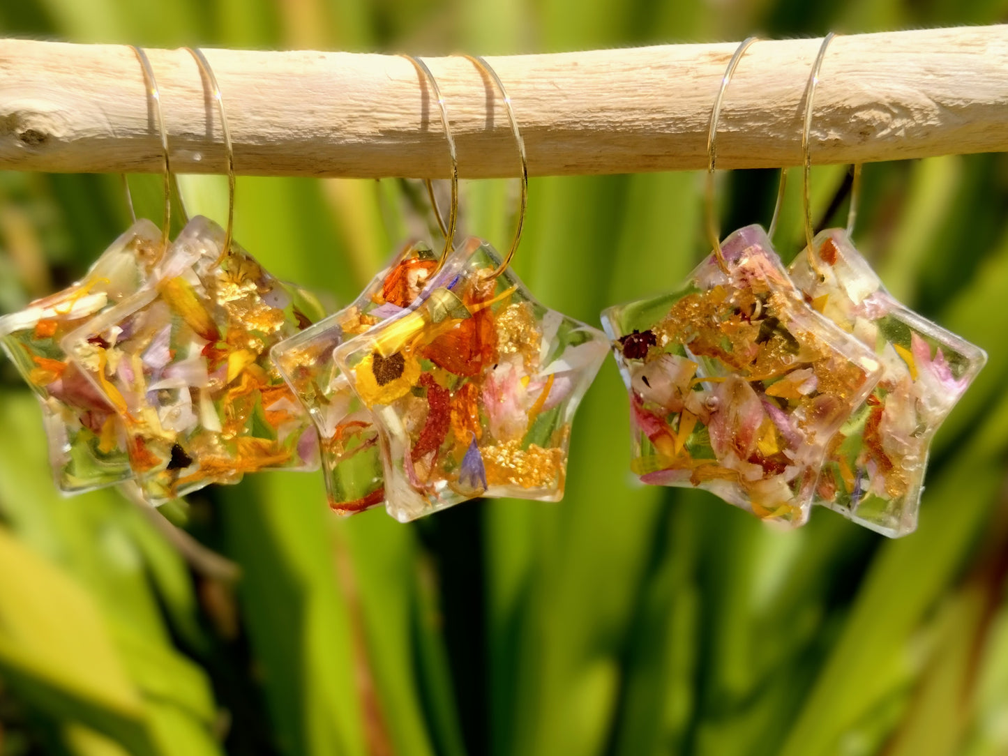 Botanical Gold Hoop Star Earrings