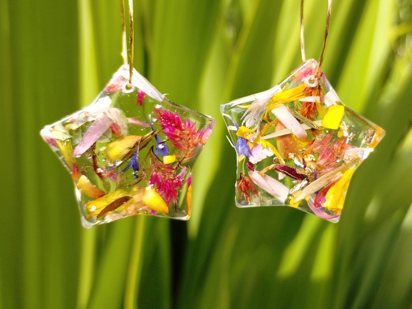 Botanical Gold Hoop Star Earrings