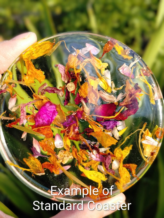 Example of Standard Coaster