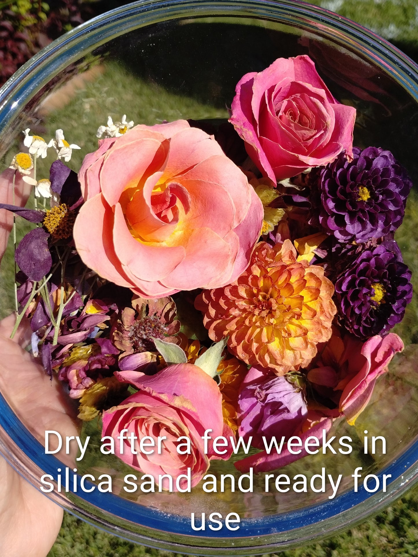 The Ultimate Bouquet Suite | Wedding Preservation Package