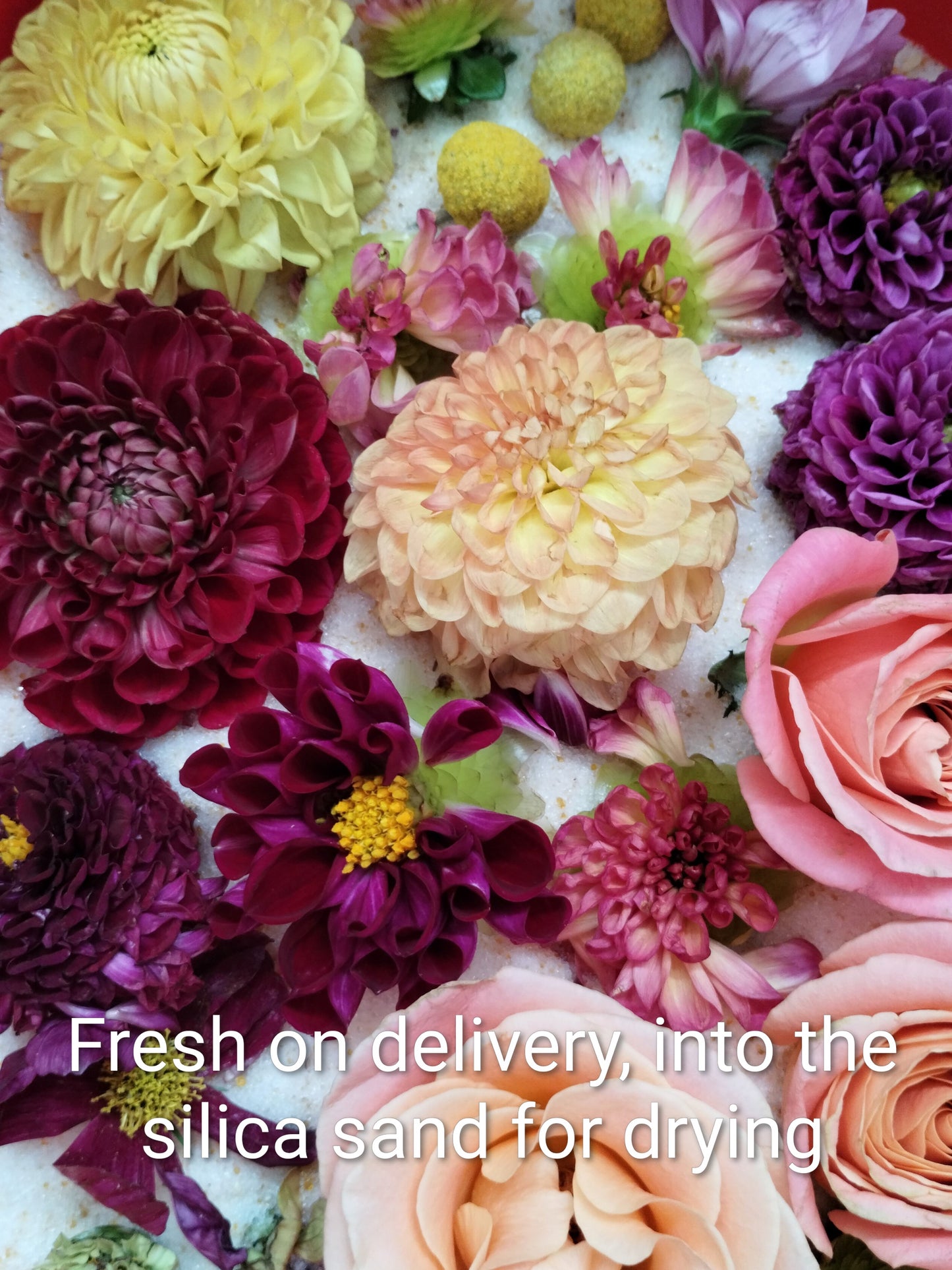 The Ultimate Bouquet Suite | Wedding Preservation Package